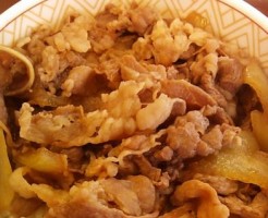 牛丼の並盛
