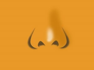 鼻のアップ