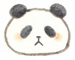 パンダの顔