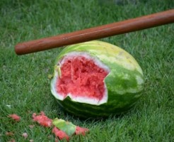 割れたスイカと木製の棒