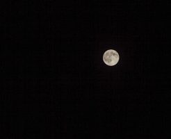 秋の夜に浮かぶ月