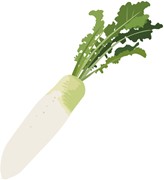 大根