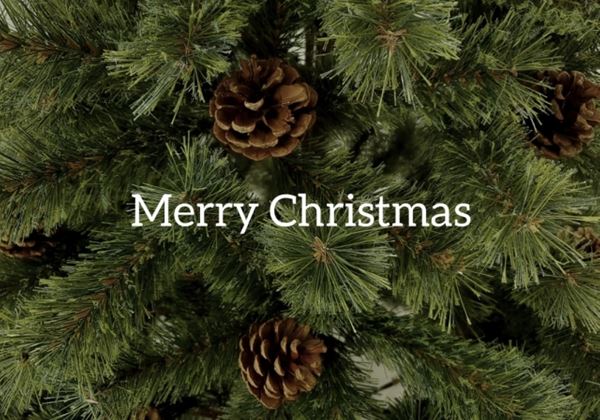 もみの木とメリークリスマスのメッセージ