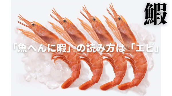 「魚へんに暇」の漢字の読み方はエビ