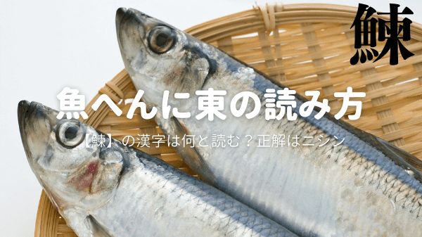 魚へんに東の読み方【鰊】の漢字は何と読む？正解はニシン