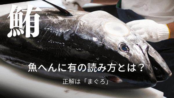 魚へんに有の読み方とは？【鮪】の漢字は「まぐろ」が正解