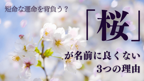 「桜」が名前に良くない3つの理由｜短命な運命を背負う？
