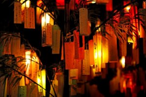 夜の七夕飾り